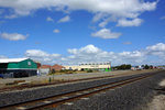 DSC05503