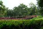 DSCF0102
