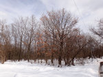 DSC03556