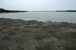 DSCF2659