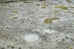 DSCF2663