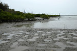 DSCF2667