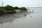 DSCF2670