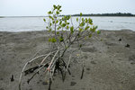 DSCF2673