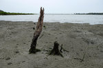 DSCF2674