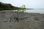 DSCF2675