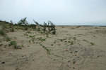 DSCF2676