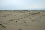 DSCF2677