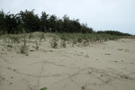 DSCF2679