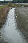 DSCF2827