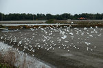 DSCF2878