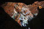 1-IMG_5836