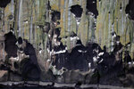 4X0A1244
