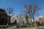 DSC06278