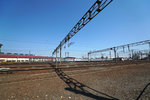 DSC06374