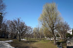 DSC06290