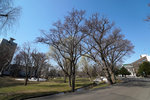 DSC06301
