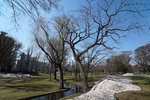 DSC06304