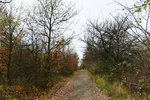 HLK_0540