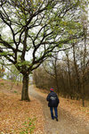 HLK_0552