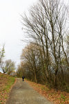 HLK_0556