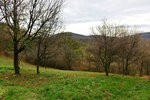 HLK_0567