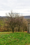 HLK_0568