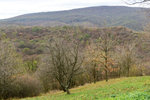 HLK_0570