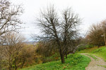 HLK_0573