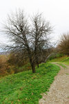 HLK_0574