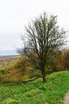 HLK_0575