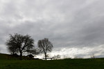 HLK_0578