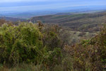 HLK_0580