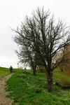 HLK_0582