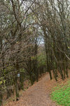 HLK_0584