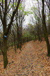HLK_0587