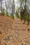 HLK_0589
