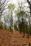 HLK_0590