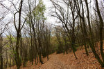 HLK_0591