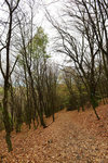 HLK_0592