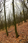 HLK_0593