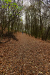 HLK_0595