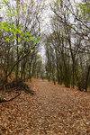 HLK_0596