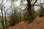 HLK_0597