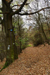 HLK_0599