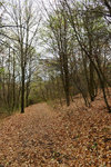 HLK_0602