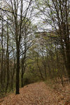HLK_0603