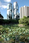 Hong Kong Park 10
