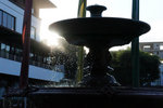 DSC09297