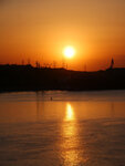 P1466367